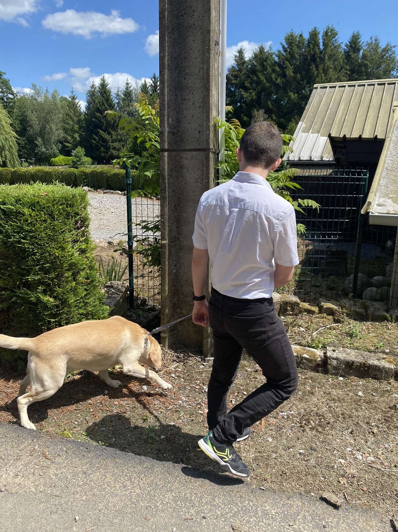 Profil de Meziane, 21 ans, Club gay à Cevio